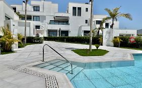 Royal Palm 12